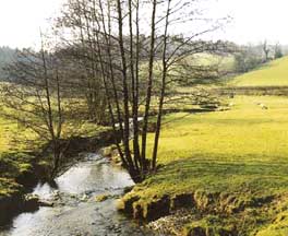 Brecon Beacons National Park